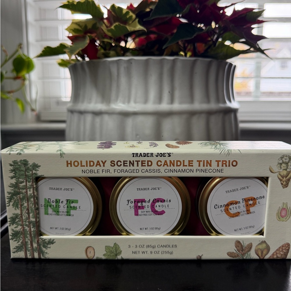NEW Trader Joe's Candle Trio - noble fir, foraged cassis, cinnamon pinecone